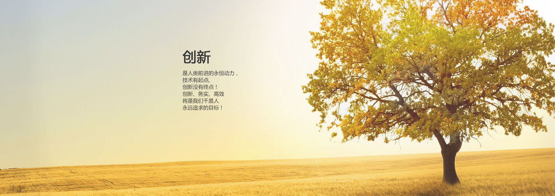 �����Ƽ�-����