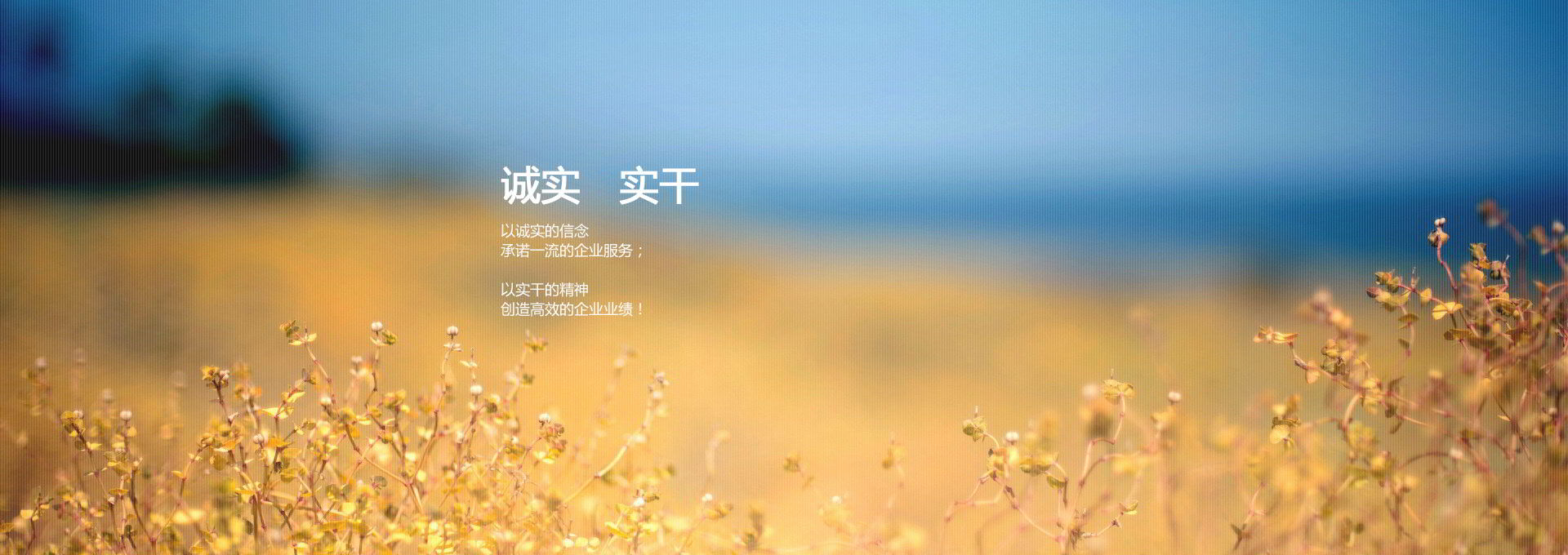 �����Ƽ�-ʵ��